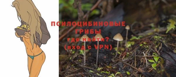 гашик Гусь-Хрустальный