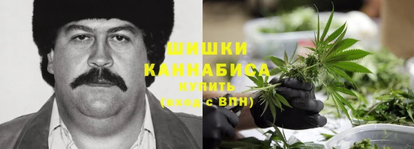 первитин Гусев