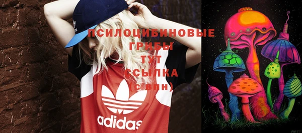 соль курить ск Дмитриев