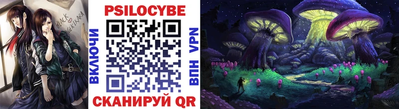 Галлюциногенные грибы Cubensis  Купить  Никольск 