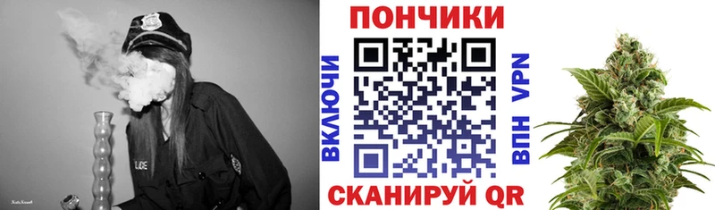 Купить закладки  Никольск  Шишки марихуана план 